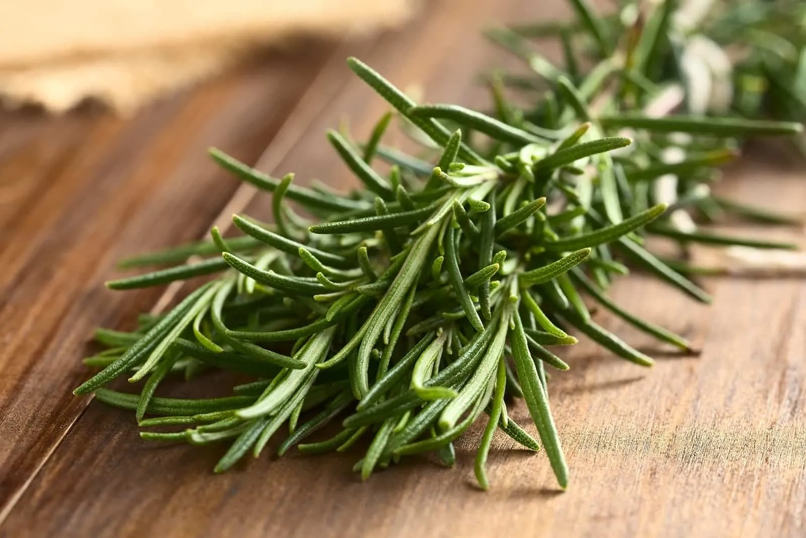 Rosemary tea - what it is for, main benefits and contraindications