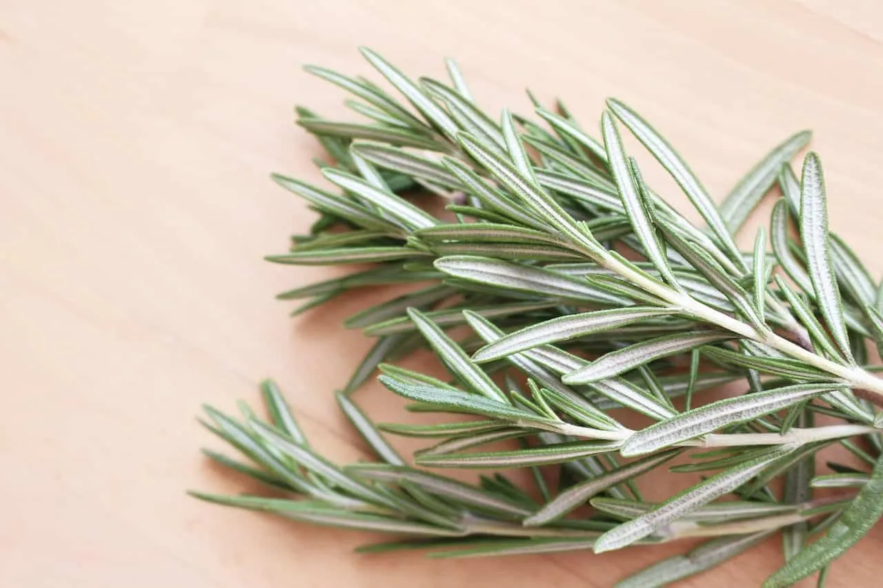 Rosemary tea - what it is for, main benefits and contraindications