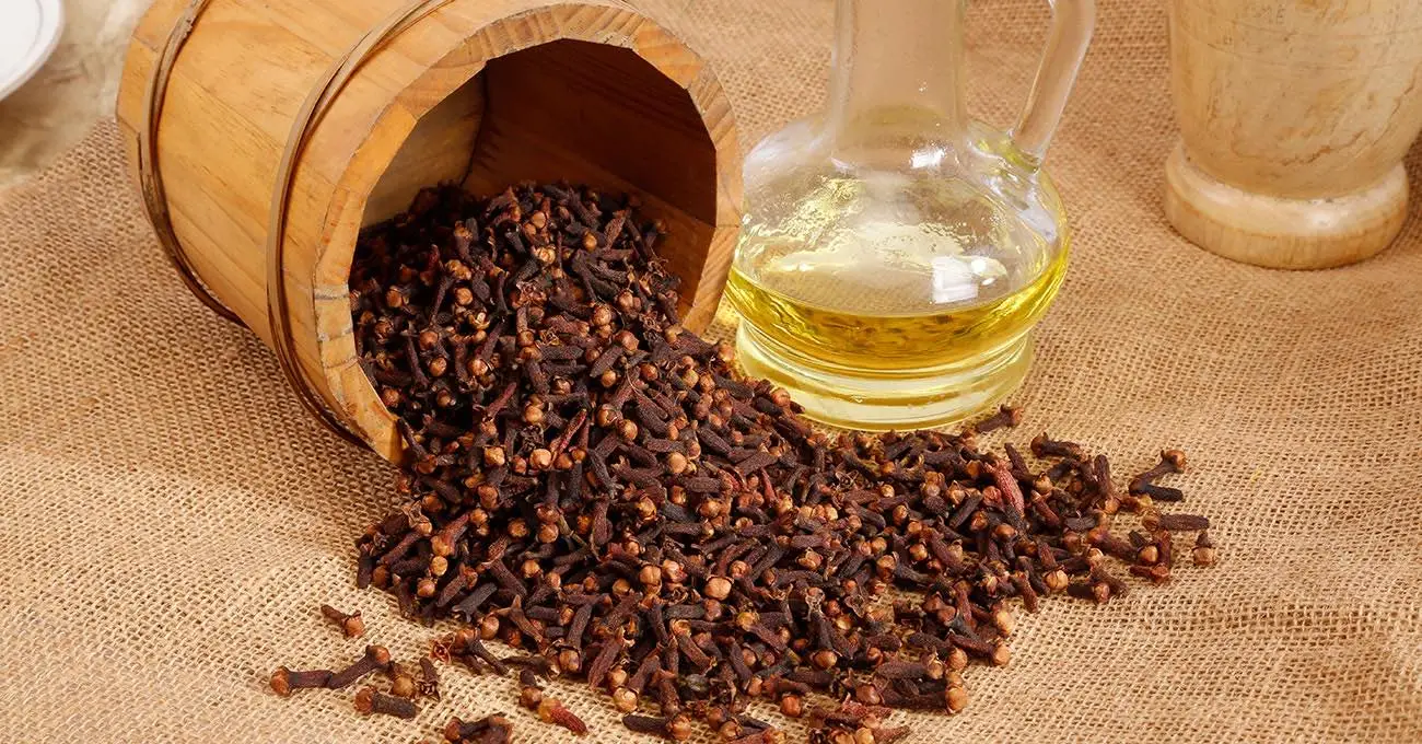 Clove oil – what it is for, benefits and contraindications