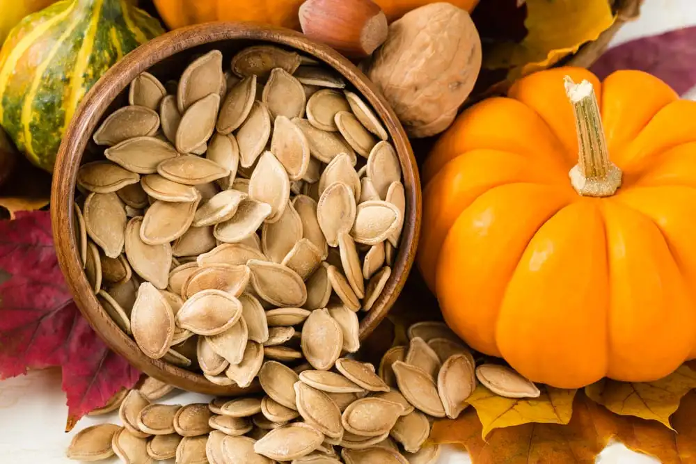 Pumpkin seed - List of benefits, how to prepare and consume