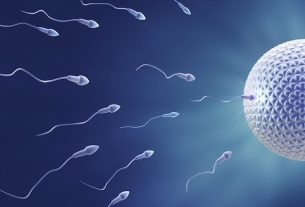 Fertilization: what it is and how it happens