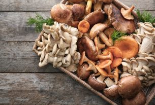 Mushroom: types and 9 main health benefits