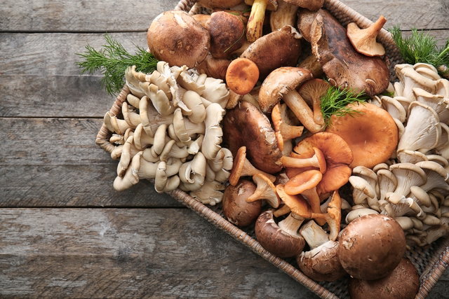 Mushroom: types and 9 main health benefits