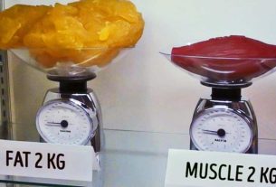 Fat or muscle?  Discover why bodybuilding helps you lose weight