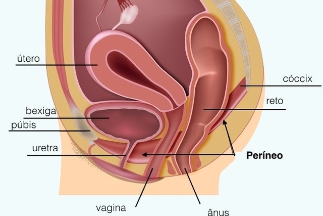 Learn how to do Kegel exercises during pregnancy