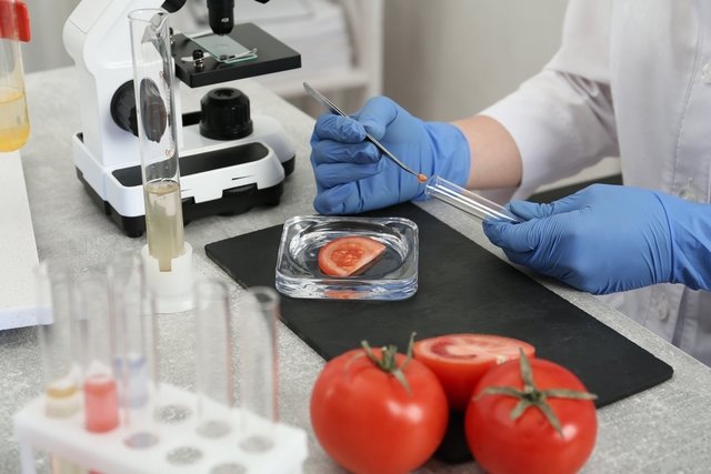 GMO foods: what they are and why they can be harmful