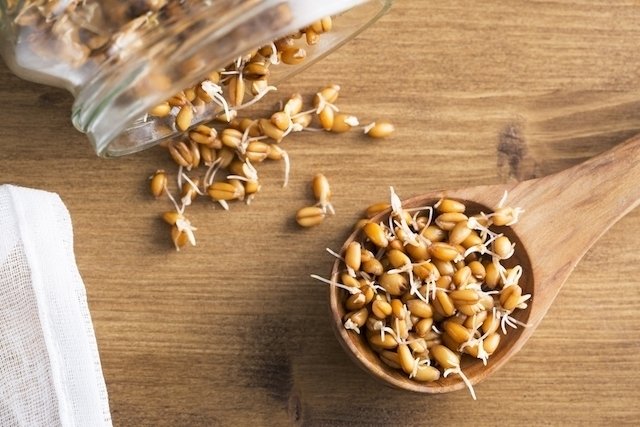 5 benefits of sprouted foods (and how to make them at home)