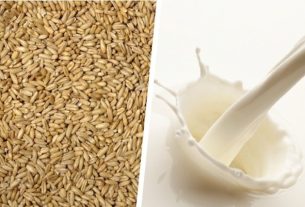 Benefits of birdseed milk