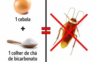 Come sbarazzarsi degli insetti in casa senza usare il veleno