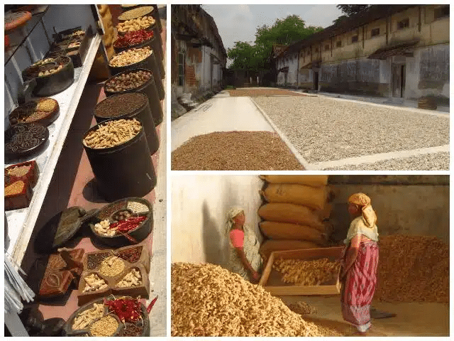 Fort Cochin, la India de los marineros portugueses – Destinos vacacionales