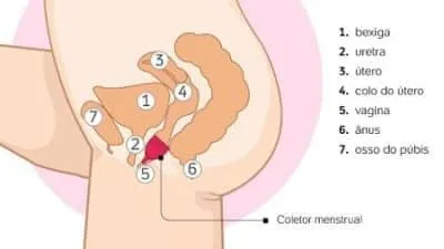 How to use your menstrual cup (complete guide)