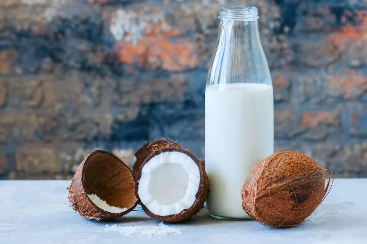 Everything about coconut milk – Benefits, nutrients, questions and recipes