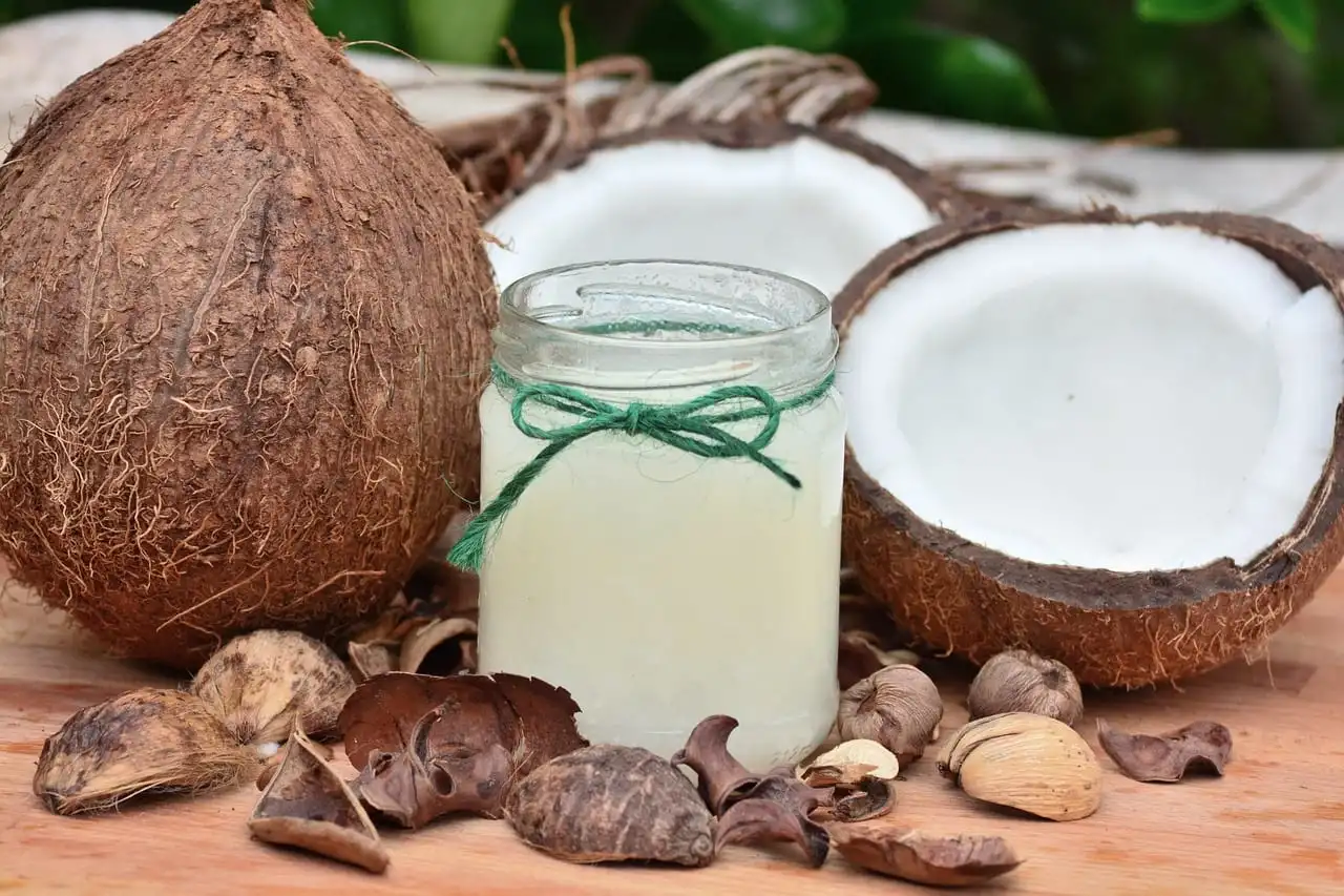 Everything about coconut milk – Benefits, nutrients, questions and recipes