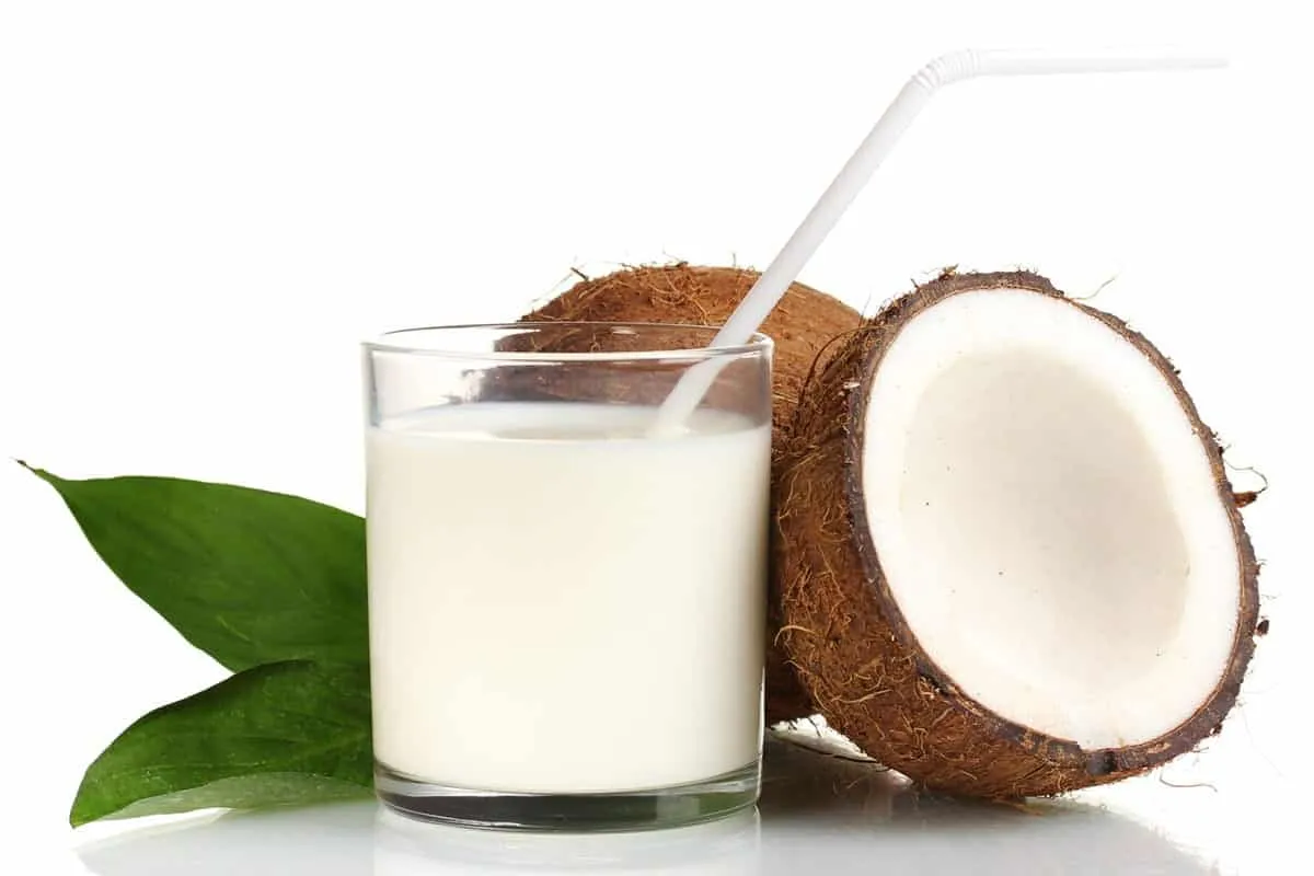 Everything about coconut milk – Benefits, nutrients, questions and recipes