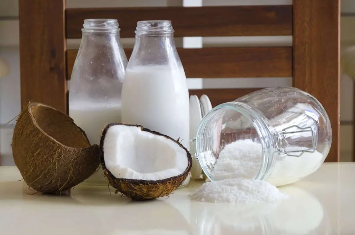 Everything about coconut milk – Benefits, nutrients, questions and recipes