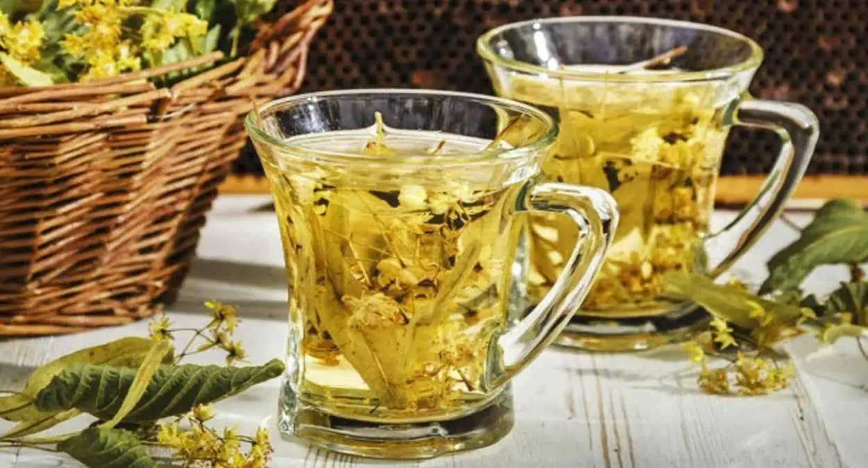 Teas to lose weight - 7 best and how they act on the body