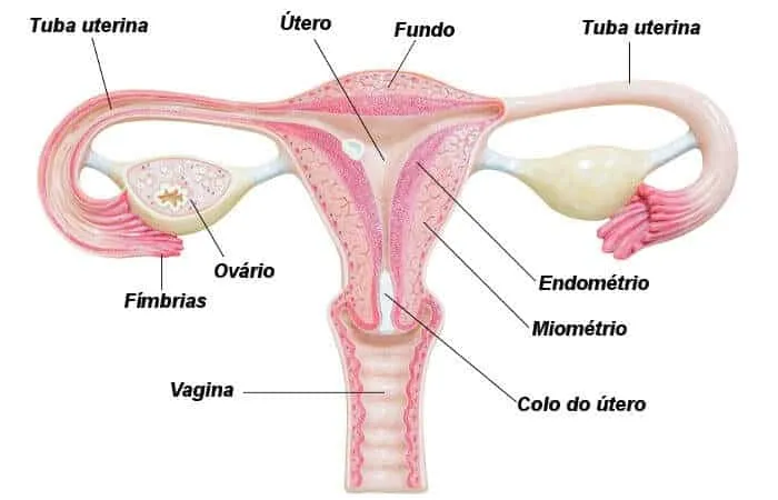 Chemical pregnancy – What it is, why it happens and what causes the problem