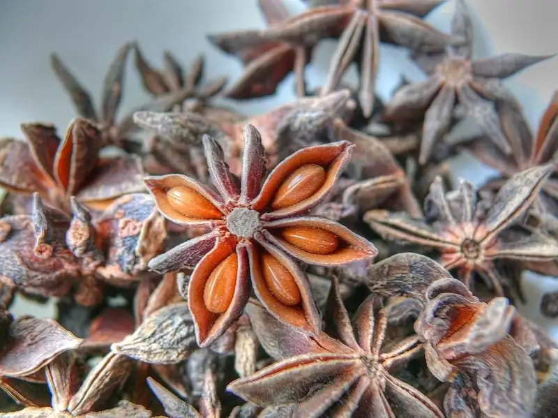 Star anise - what, what it is for, benefits