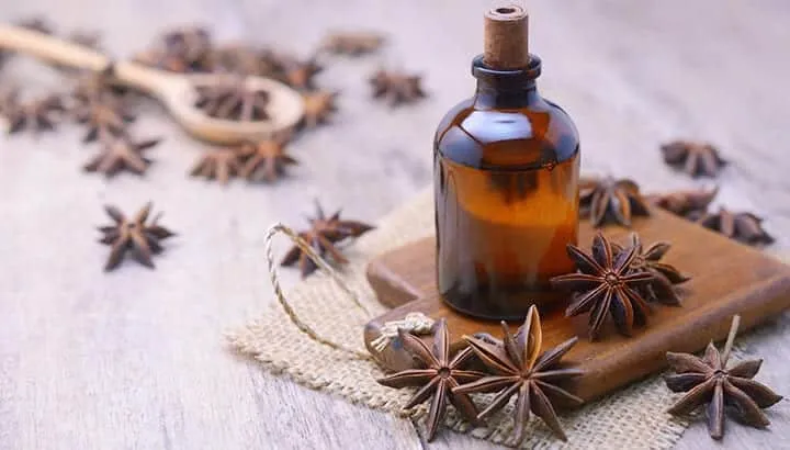 Star anise - what, what it is for, benefits