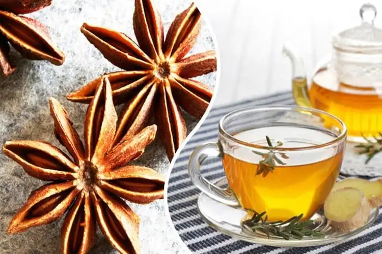 Star anise - what, what it is for, benefits