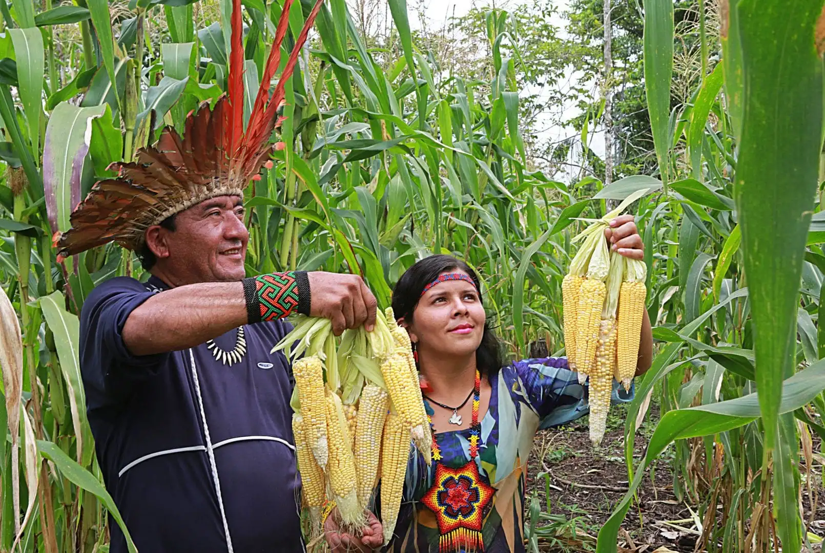 Canjica - origin, traditional consumption and recipes