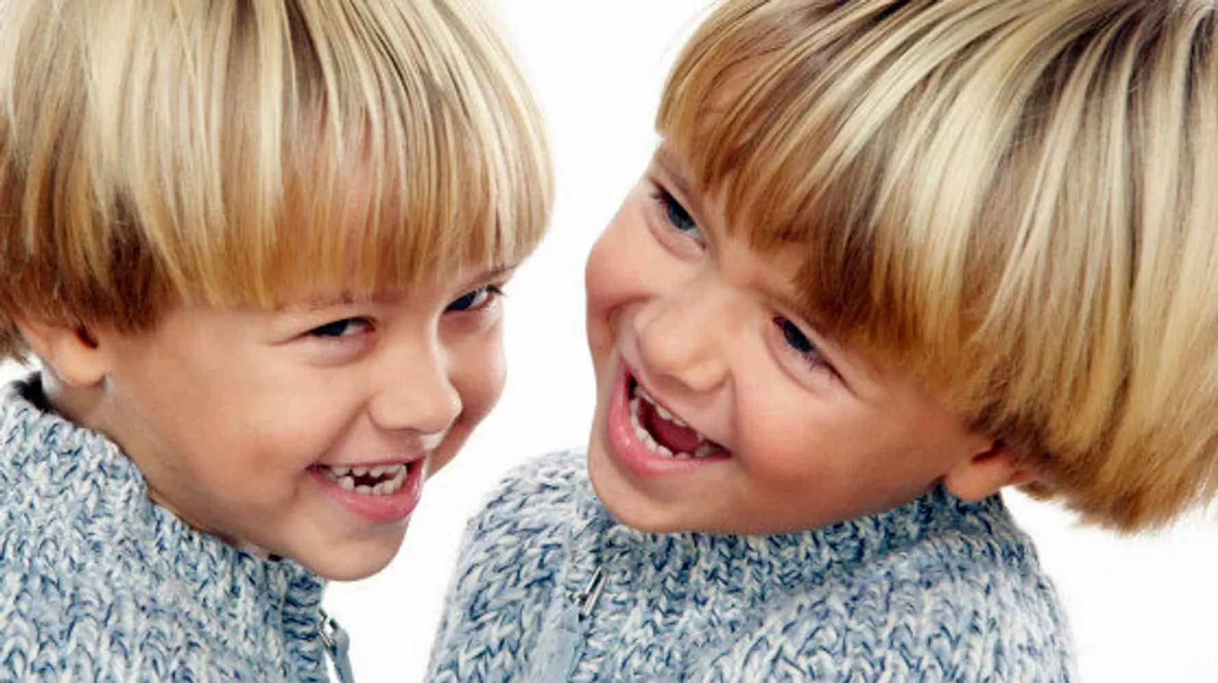 Twin brothers: 15 interesting facts about them