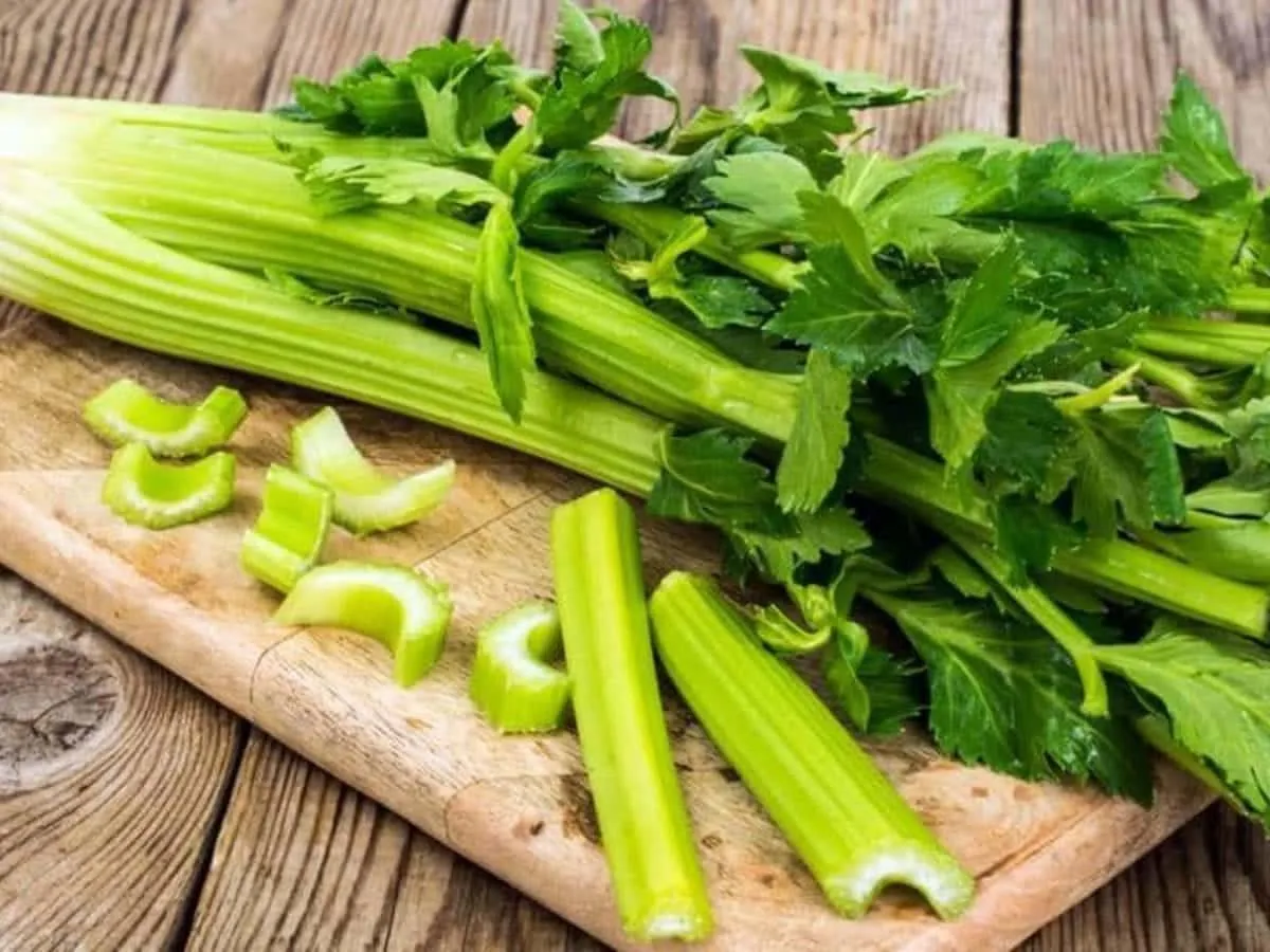 Celery - learn about the properties and benefits of this root