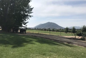 Visita e pranzo presso l'azienda vinicola Viu Manent