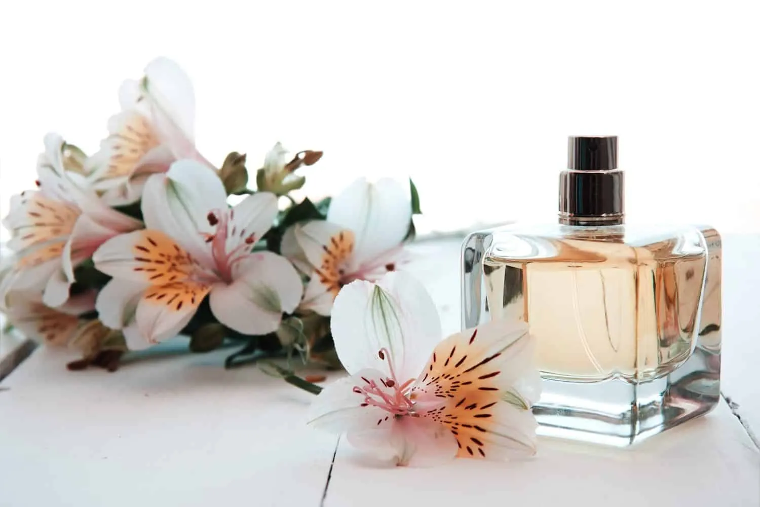 Check out the top 20 best perfumes imported