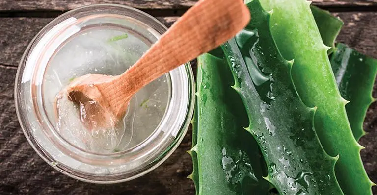 Moisturizing hair - the 16 homemade recipes to leaving the wires hydrated