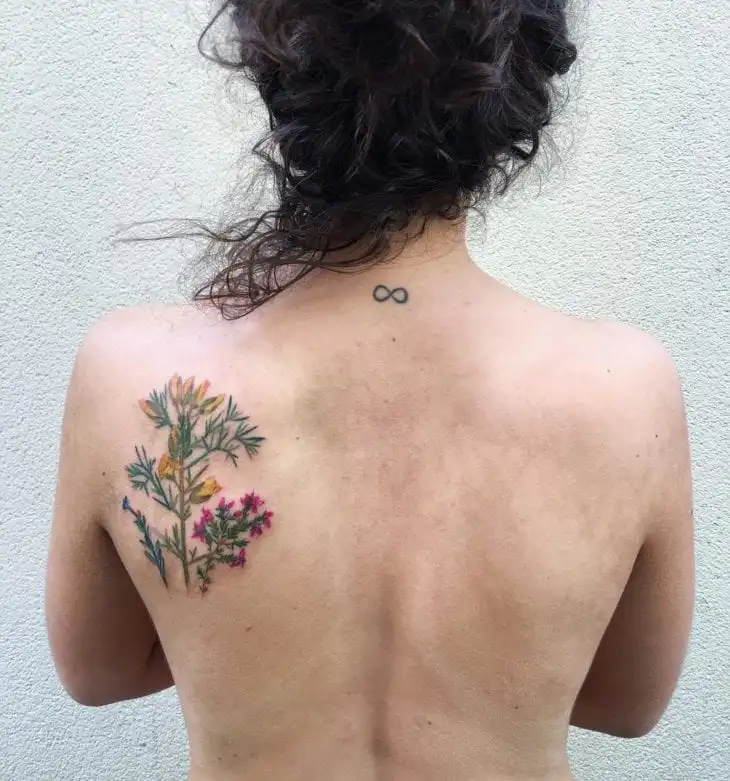 More than 60 tips from a tattoo on the back for you to get inspired