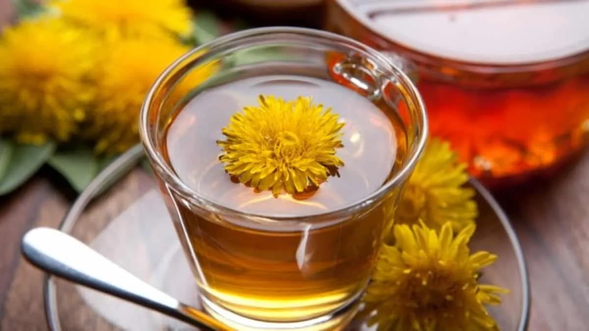 Herbal teas for ny - 9 recipes for teas, + why to keep the net