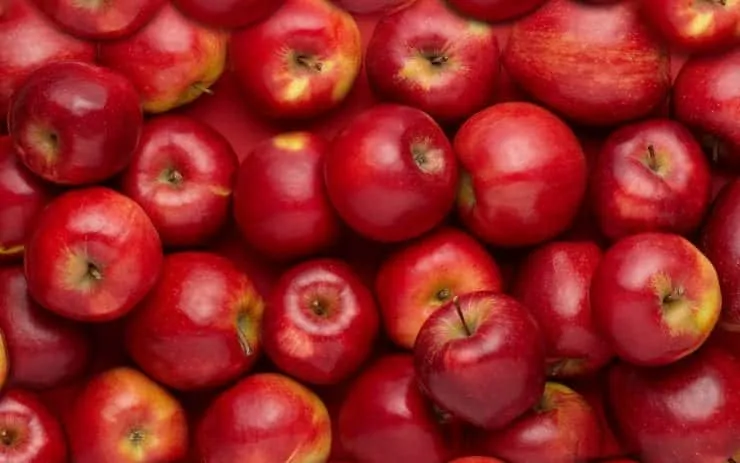 Everything you need to know about the apple diet