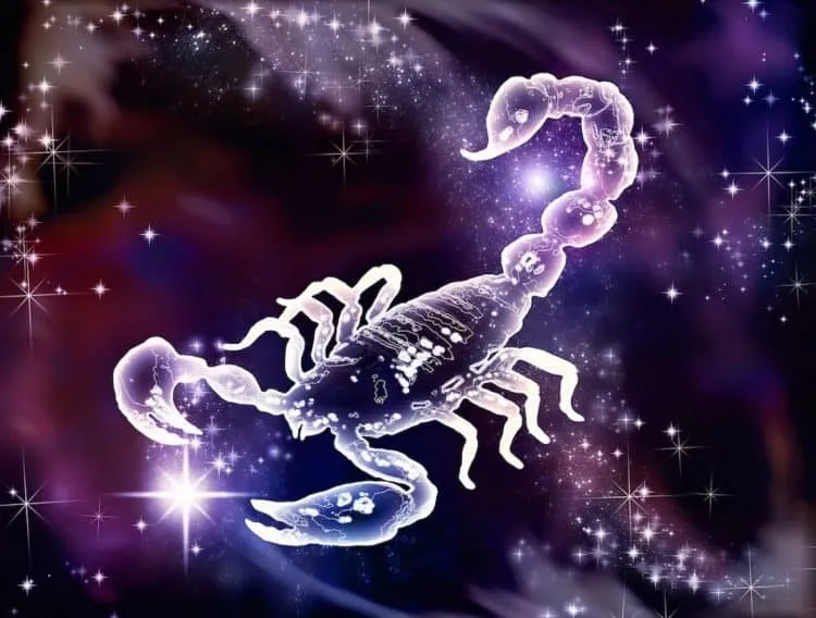 Scorpio sign - everything you need to know about the sign