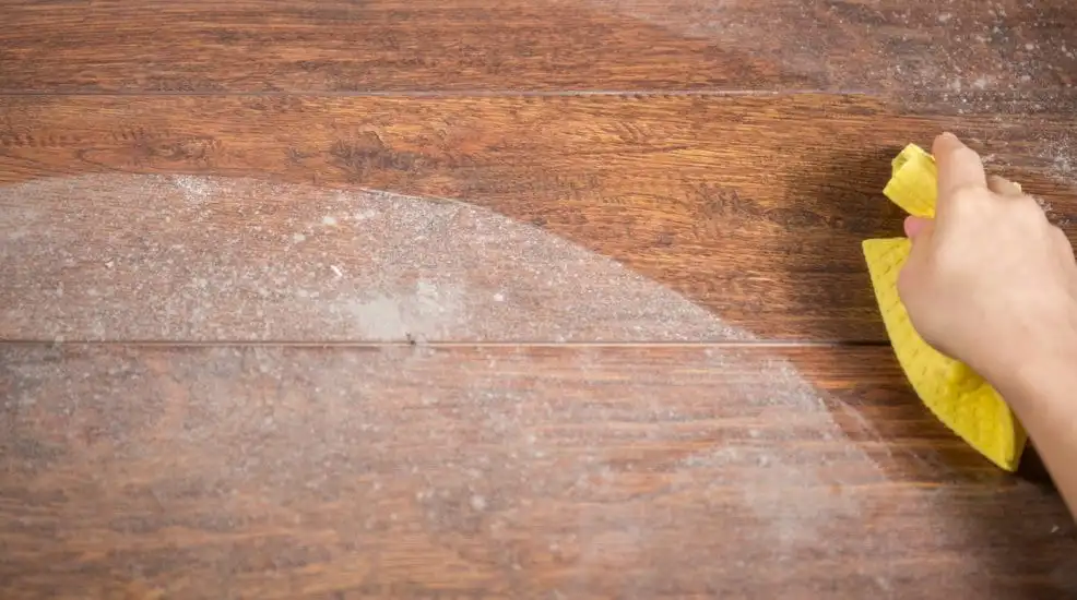 Mold: Find out what it is and how to get rid of it once and for all