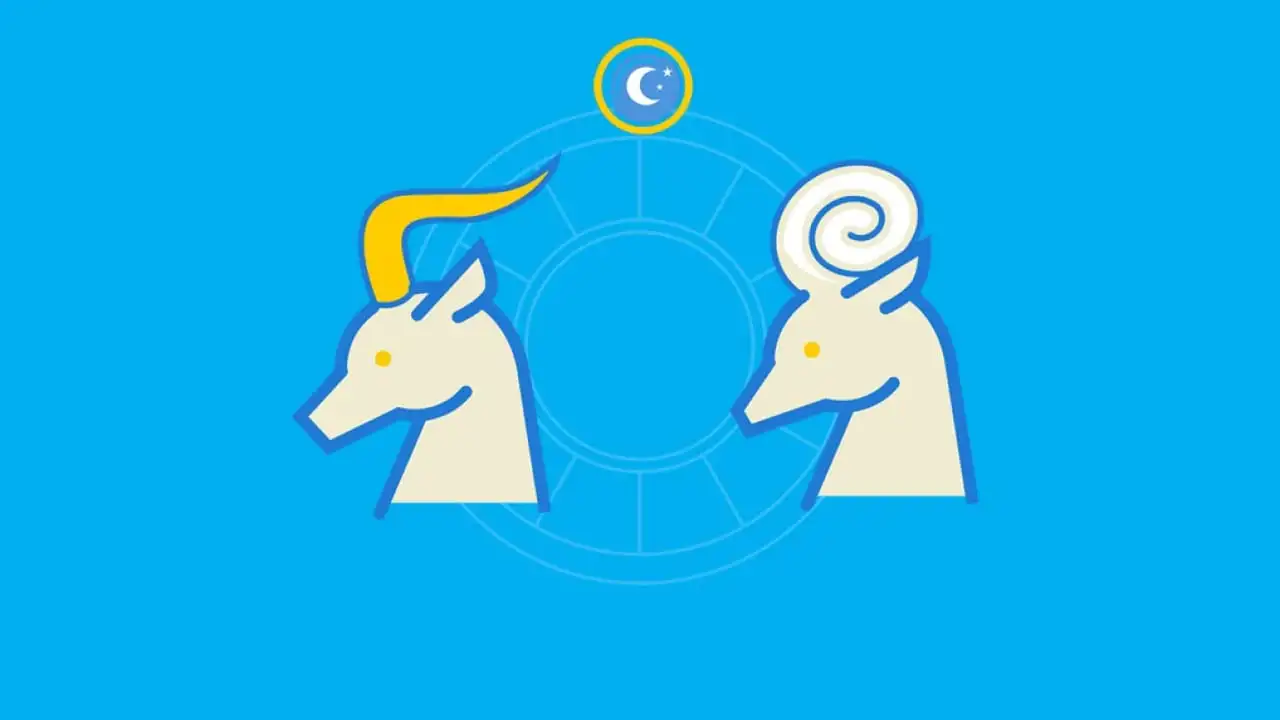 Capricorn zodiac sign - Find out everything about the characteristics of the sign