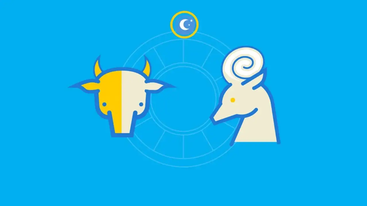 Capricorn zodiac sign - Find out everything about the characteristics of the sign