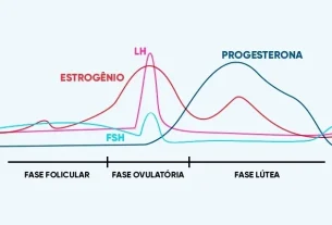 qué es, fases, cómo contar y cuánto dura