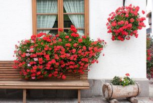 Foto de fachada de casa com janela, banco de madeira, floreira baixa com flores e gerânios pendentes