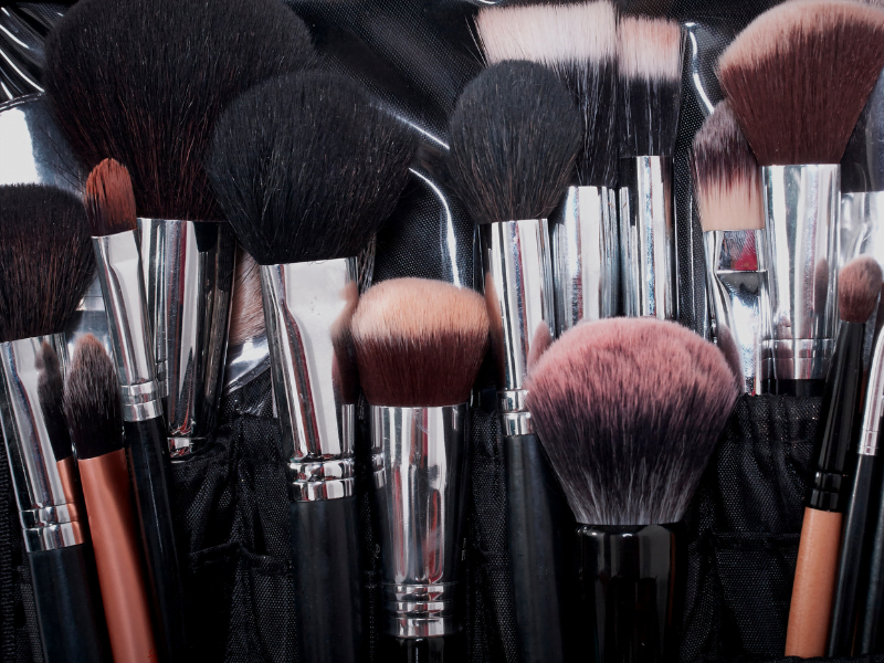 Types of Makeup Brushes: Complete Guide for Beginners