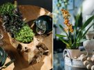 Duas fotos de arranjos com novidades em flores e plantas do Enflor & Garden Fair