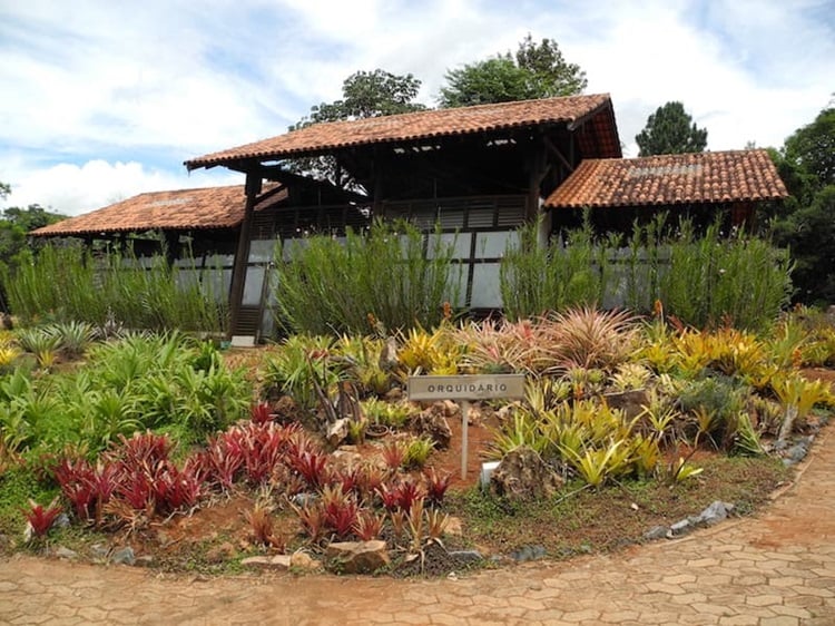 Brasilia Botanical Garden