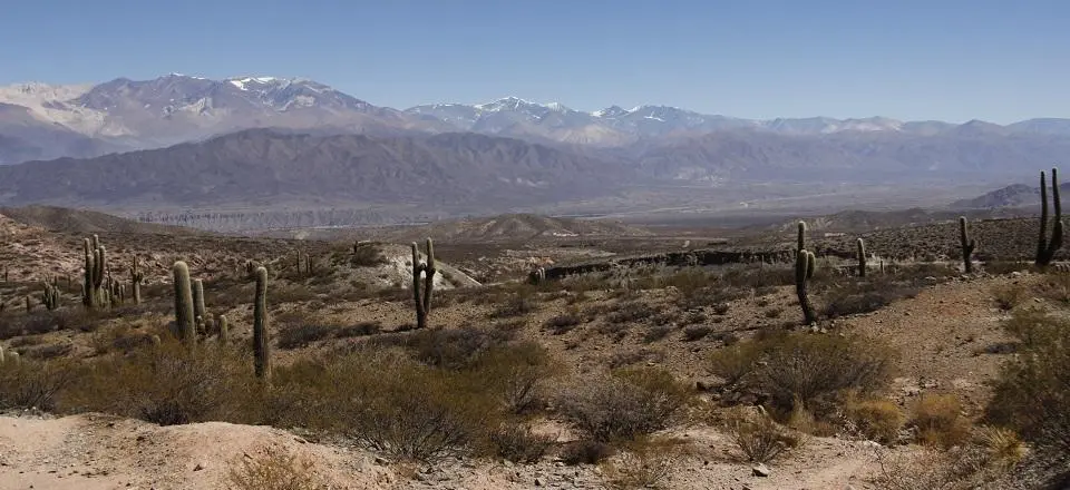 Le parc National de Los Cardones