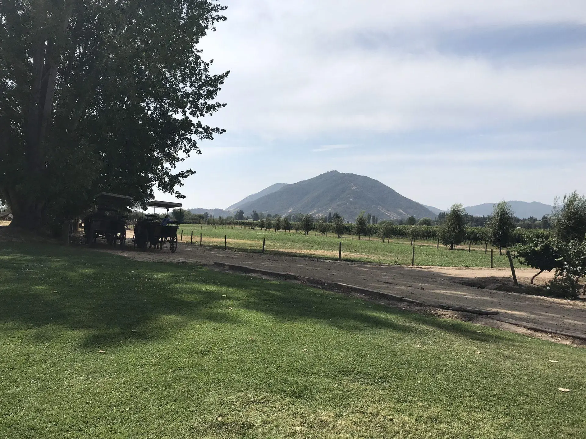 Visita y almuerzo en bodega Viu Manent