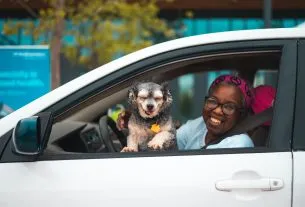disease prevention in elderly animals