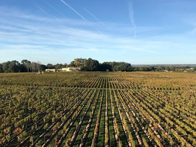 melhor hotel de Bordeaux