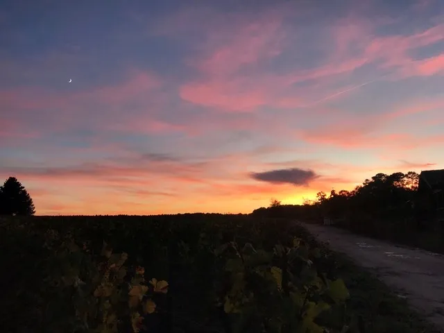 melhor hotel de Bordeaux