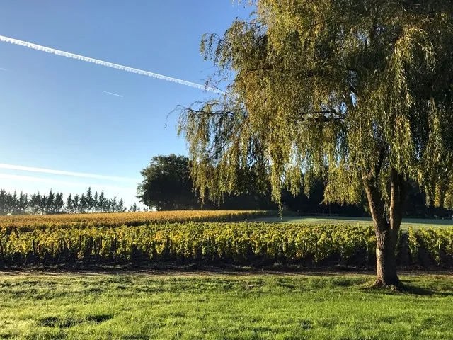 melhor hotel de Bordeaux