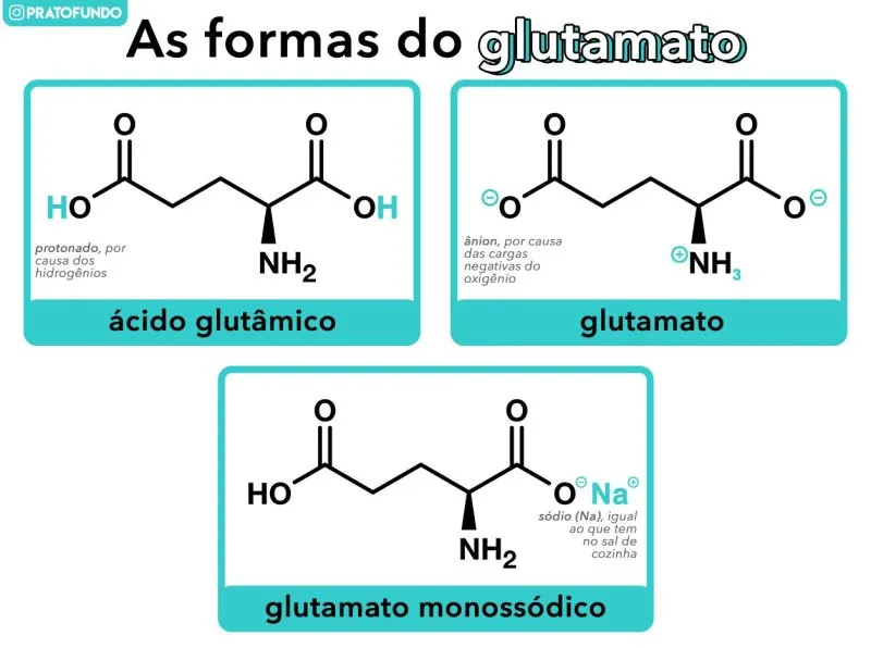 Estruturas e formas que o glutamato pode apresentar.