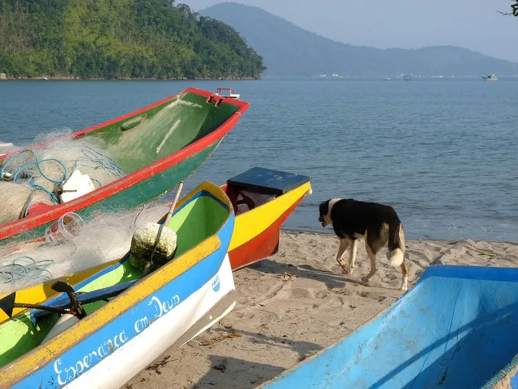 Ubatuba